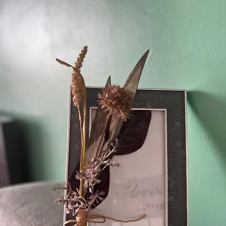 Lejlighed Flower House 2 *