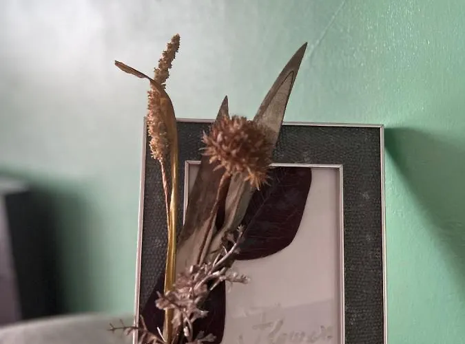 Appartamento Flower House 2 *